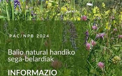 Balio natural handiko sega-belardiak diruz lagunduko dira aurten Nafarroan