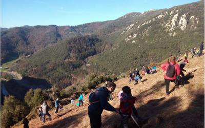 Zuhaitz landaketa eguna antolatu du Mendaroko Udalak otsailaren 4rako eta parte hartzera deitu du Arno guraso elkarteak