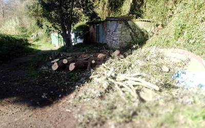 Sua egiteko egurra herritarren eskura jarri ditu udalak