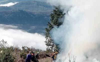 Otsailaren 1a da azken eguna larrea erretzeko baimena eskatzeko