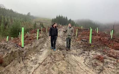 Negua, zuhaitzak landatzeko garaia