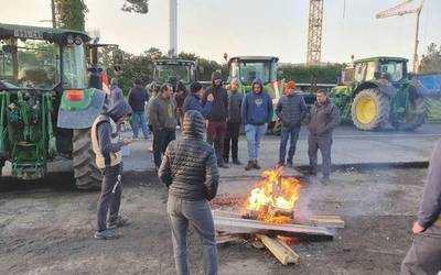 Nazioarteko garraiolariek ezohiko ibilerak izan dituzte