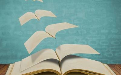“Mikel Zarate” Haur Literatura Saria