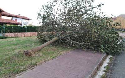 Alerta horia ezarri dute gaur haizearengatik