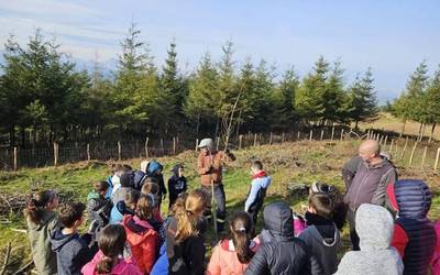 Soraluzeko basoak biziberritzen – LH 4. maila