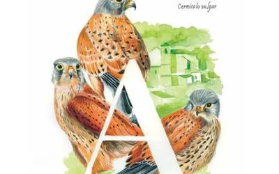 Natura, Izkiko berba propioan