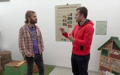 Zomorroa, txikitasunean oso handia den espeziea