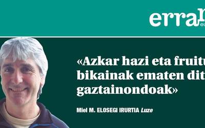 Gaztainondoei bultzada