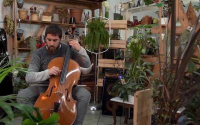 Musika gailendu da dendetan