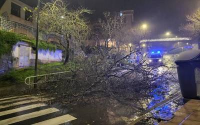 Correos parean eroritako zuhaitza kenduta, zabalik da errepidea