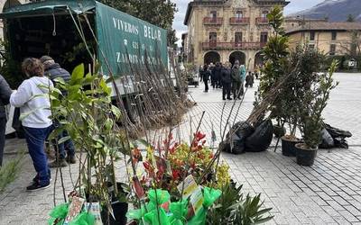 Mintegi gutxirekin, baina egin dute zuhaitz azoka Oñatin