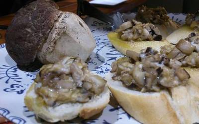 Arakilgo pintxo hoberenaren bila