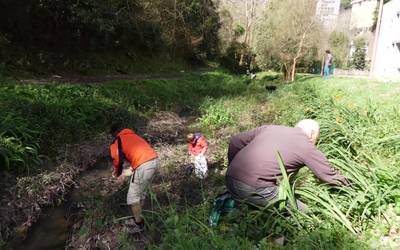 Auzolanean garbitu dute Igerain erreka Zarautzen