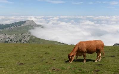 Talai Mendik Gorbeiara egun pasa antolatu du apirilaren 28rako