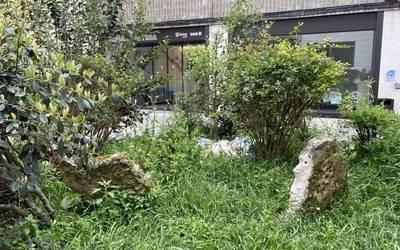 Udalerriko berdeguneetan pilatutako zikinkeria "nahita" isuritakoa dela salatu eta lorezaintza-zerbitzukoen grebagaz lotu du Getxoko Udalak