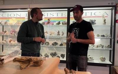 Euskal Herrian ere bizi izan diren dinosauroak