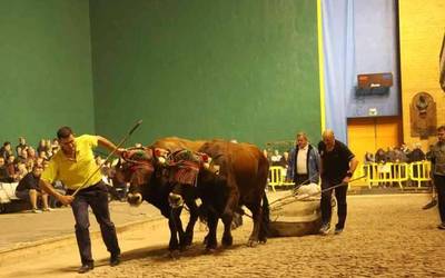 Zornotza anaien idiek irabazi dute Udaberri Idi Dema Sariko lehen saioa