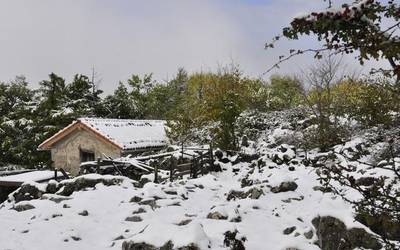 Artzain-txaboletarako dirulaguntza eska daiteke dagoeneko