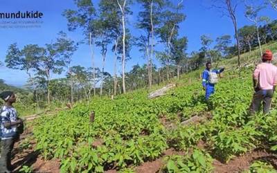Lankidetzak duen indarraren lekuko da
