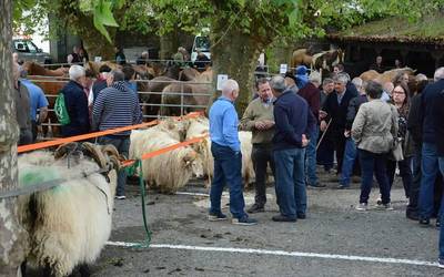Doneztebeko Udaberriko Feria maiatzaren 10ean