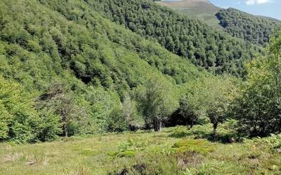 Aritzuko Urrabia zohikaztegira irteera eginen du Gorosti elkarteak igandean