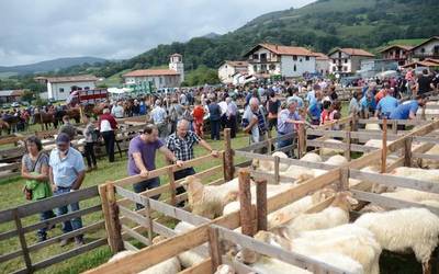 Baztan-Bidasoko XX. Ardi Lehiaketan parte harteko aukera zabalik da