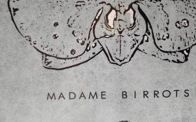 Madame Birrots