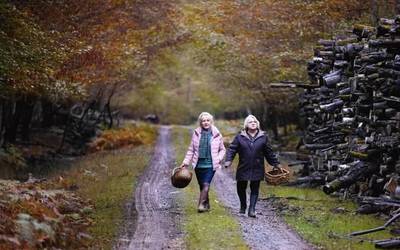 'Cuando cae el otoño' eta 'Klara eta hazi magikoaren misterioa' filmak, asteburuan Aita Marin