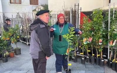 Arrasateko zuhaitz azokak izandako erantzunarekin gustura mintegiak