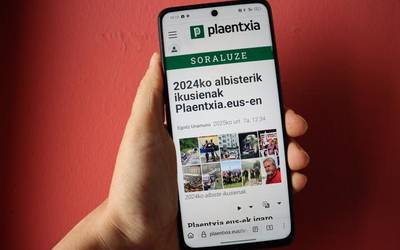 Ia milioi erdi bisita izan ditu 'Plaentxia.eus'-ek