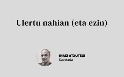 Ulertu nahian (eta ezin)