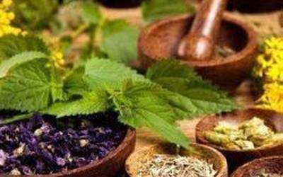 Pello Iturria: «Kolesterol mailak zaindu egin behar dira»