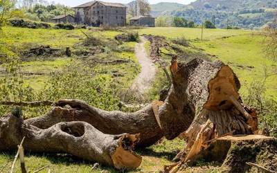 Lurraren espekulazioaren aurkako deiadarra