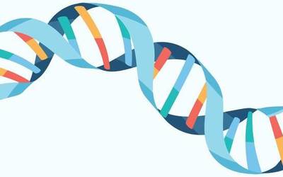DNA book-etik gertuago?