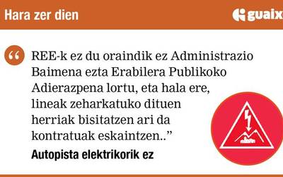 REE-ren praxi ezegokia