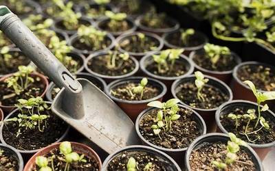 Bidasoa Elikadura proiektuaren barrenean, bi ikastaro otsailean