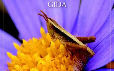Euskal Herriko Fauna Gida