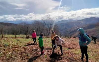 Otsailaren 22an eta 26an Arbolaren Eguna Lesakan