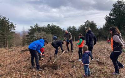 Arbolaren Eguneko landaketak gaur eginen dituzte Lesakan