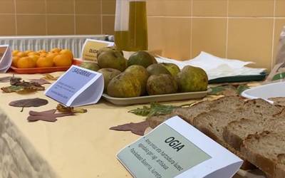 Hamaiketako osasungarriak eskualdeko eskoletan zabaltzen