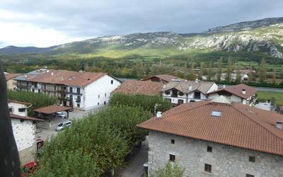 Herriaren larre baten erabilera enkantera atera du
