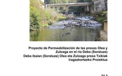 Alegazioa aurkeztu diogu Aldundiaren proiektuari