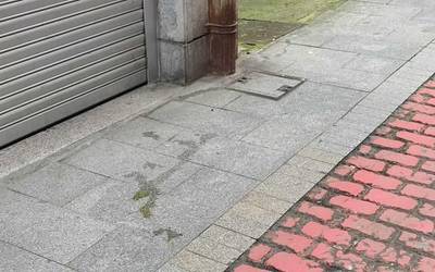 Txakur jabeei ardura hartzeko eta Udalari ikuskapenak egiteko eskaera