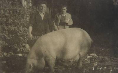 Eskubidetik estubidera