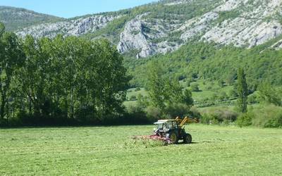 Abeltzainendako deialdia egin du Uharte Arakilgo Udalak
