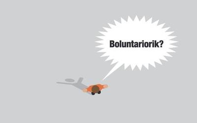 Borondatezko lan kolektiboa, gainbeheran?