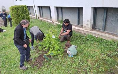 Auzolanean landaketak egin dituzte Ibarran