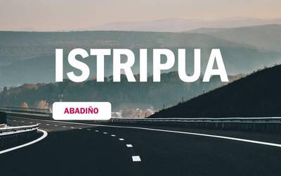 Arbola bat auto baten gainera jausi da Abadiñon