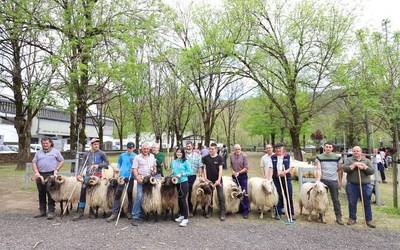 Udaberriko Feria eginen dute apirilaren 25ean Elizondon