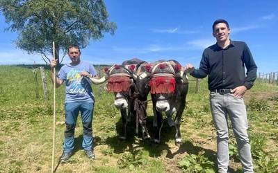 Dagoeneko izena eman daiteke Idi Eguneko azokan postua jartzeko